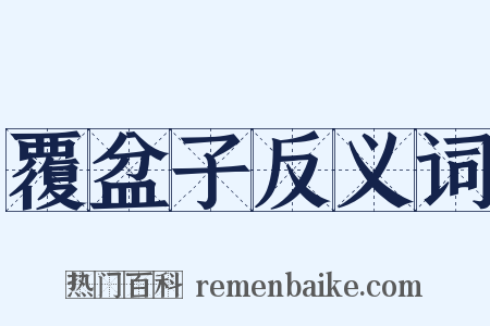 覆盆子反义词是什么意思的图片